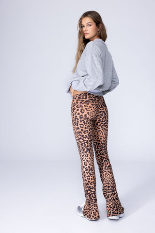 TWIST PANTS - LEOPARD